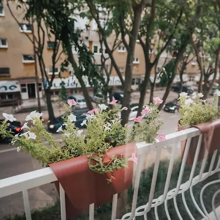 Island Spirit * 자다르