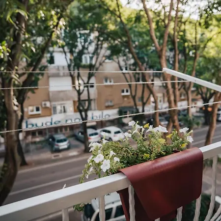 Apartment Island Spirit *