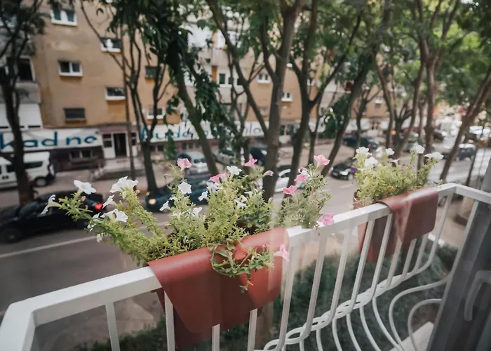 Island Spirit * 자다르