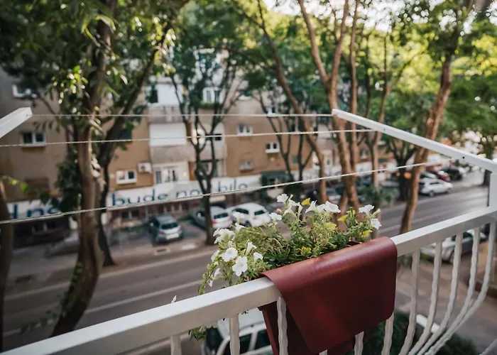 Apartment Island Spirit *